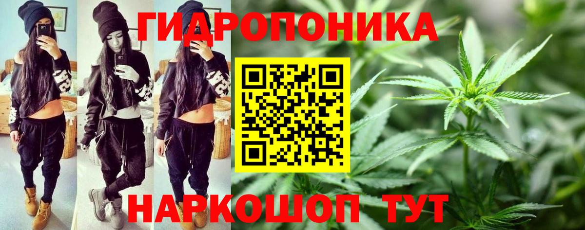 МАРИХУАНА Bruce Banner  Шишки марихуана ГИДРОПОН  Кызыл  Бошки марихуана конопля  Вход с VPN 